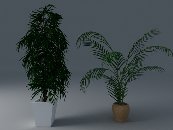 plant interior 3d model - plants collection... by VisuArt3D